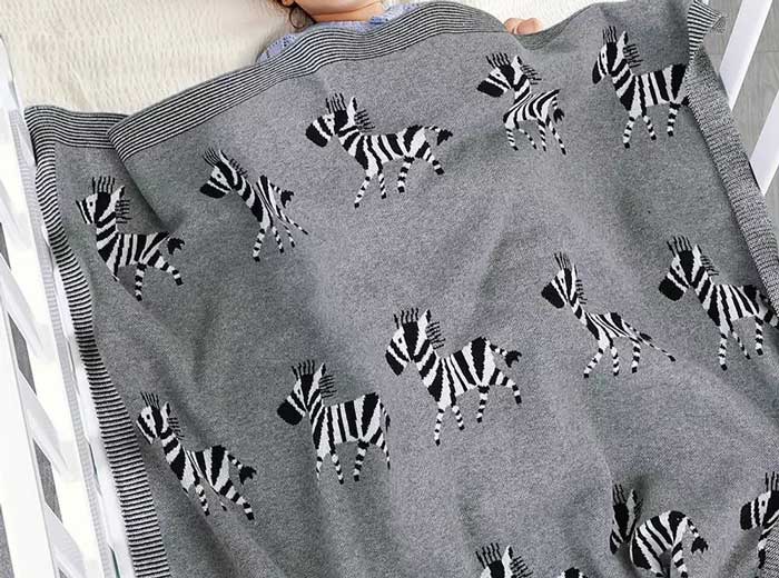 Savanna Stripes Baby Blanket